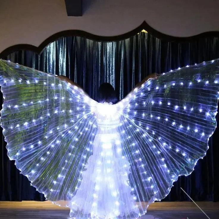 LED Vlinder Vleugels Kerst Kostuum